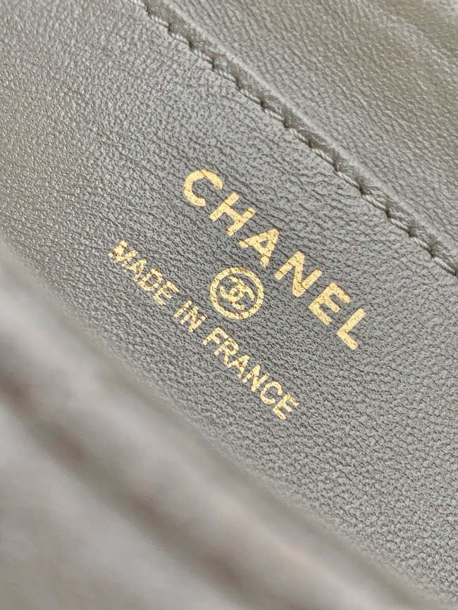 Chanel MINI FLAP BAG AS4677 GRAY