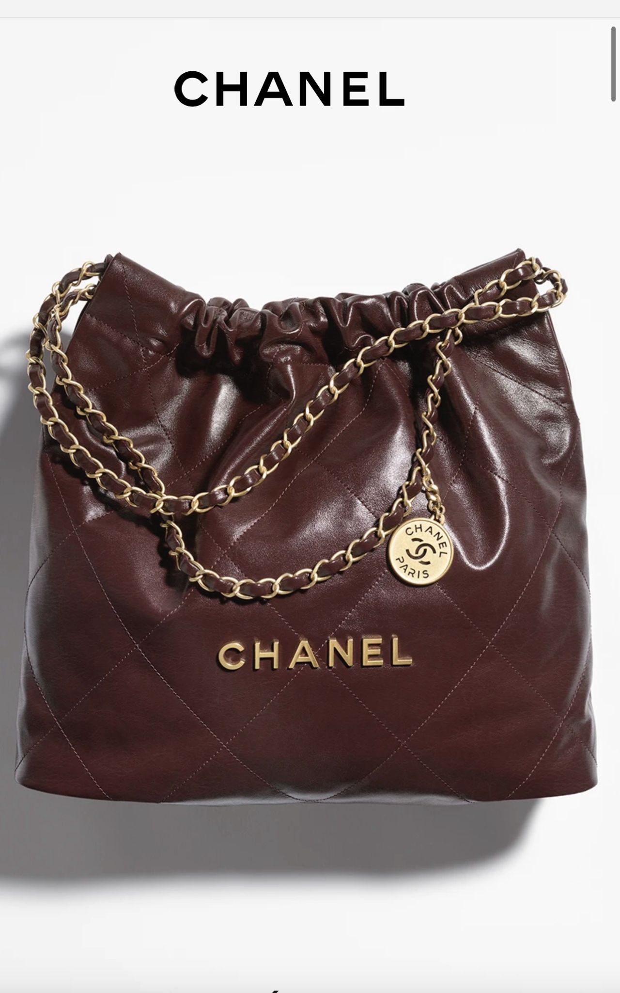 CHANEL 22 MINI HANDBAG AS3260 Dark Brown