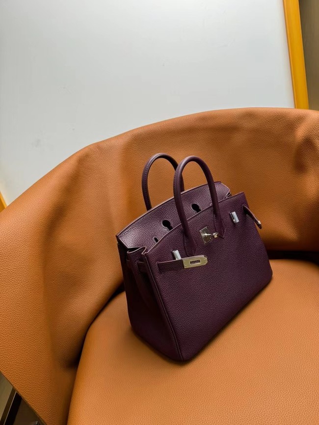 Hermes Birkin Bag togo Leather 5570-11