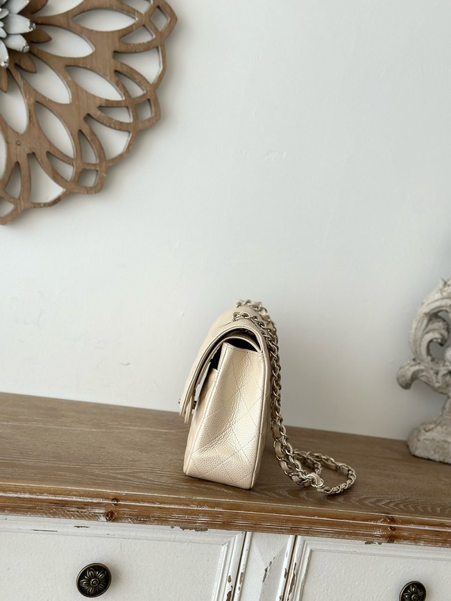 CHANEL Classic 11.12 handbag  A01112-3
