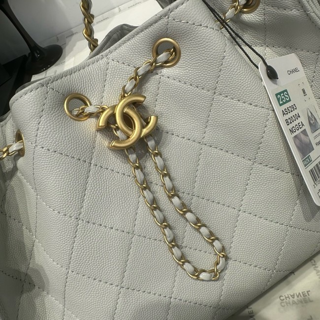 CHANEL 25 SMALL HANDBAG AS5293 light gray