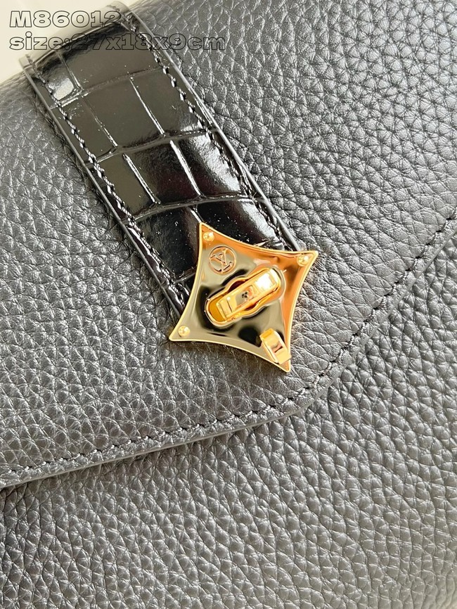 Louis Vuitton Grained Calfskin M86012 black