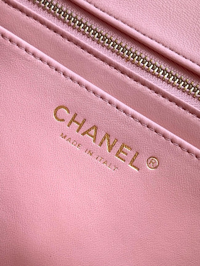Chanel Flap Bag AS5756 Light Pink
