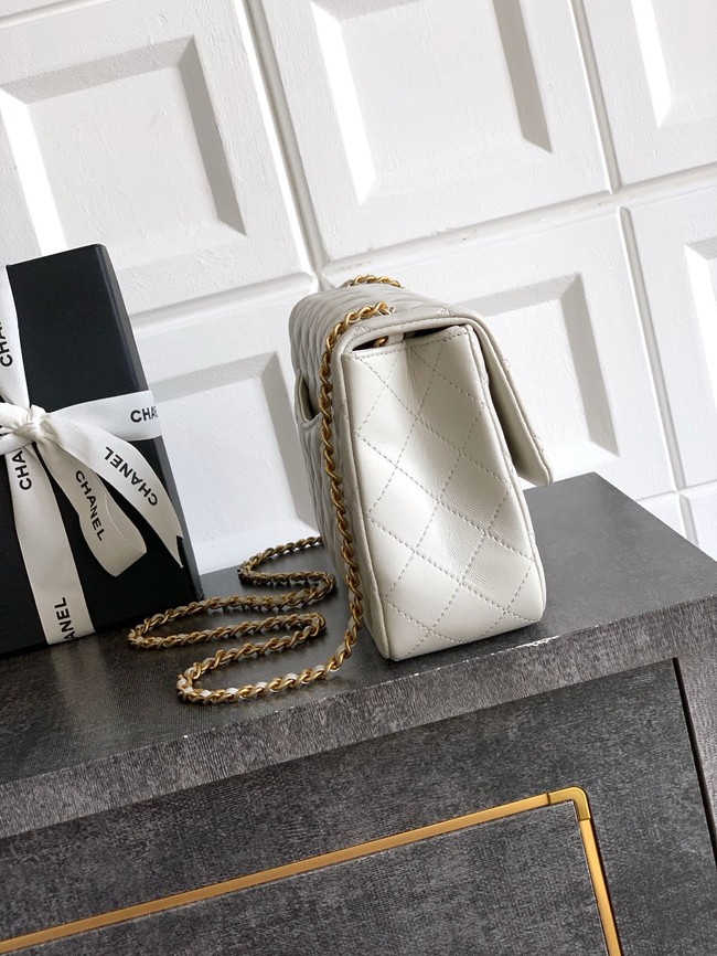 Chanel Flap Bag AS5756  Light Grey