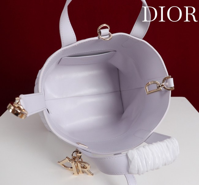 Small Dior Toujours Vertical Tote Bag M2835OSNW white