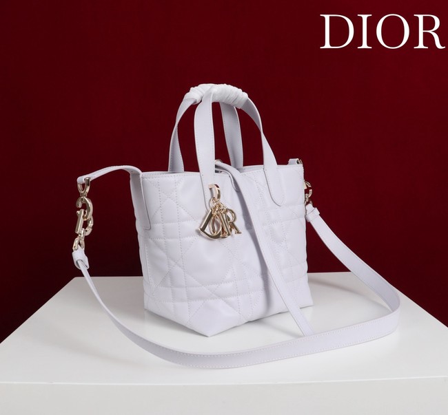 Small Dior Toujours Vertical Tote Bag M2835OSNW white