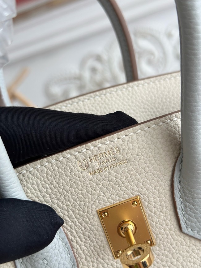 Hermes Birkin Bag togo Leather 2835-4