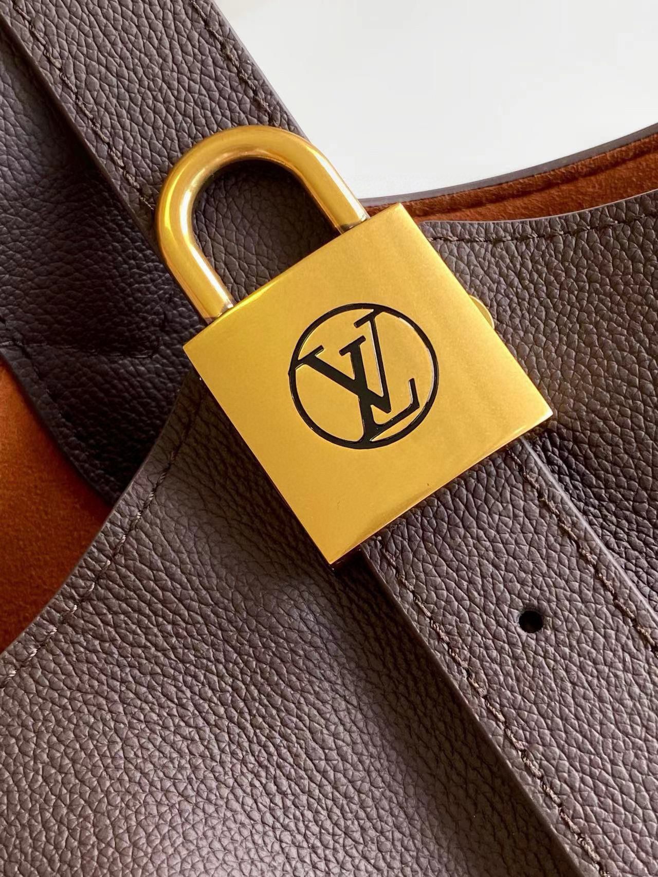 Louis Vuitton Low Key Hobo MM M25022 Coffee