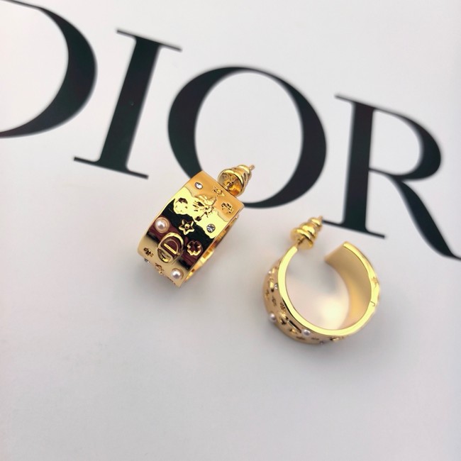 Dior Earring CE80999