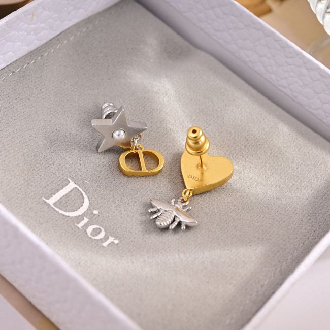 Dior Earring CE81060