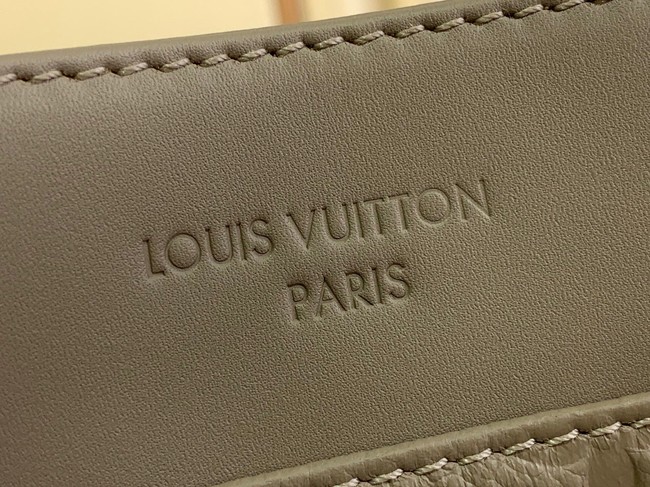 Louis Vuitton NEW Avenue PM M25577 GRAY