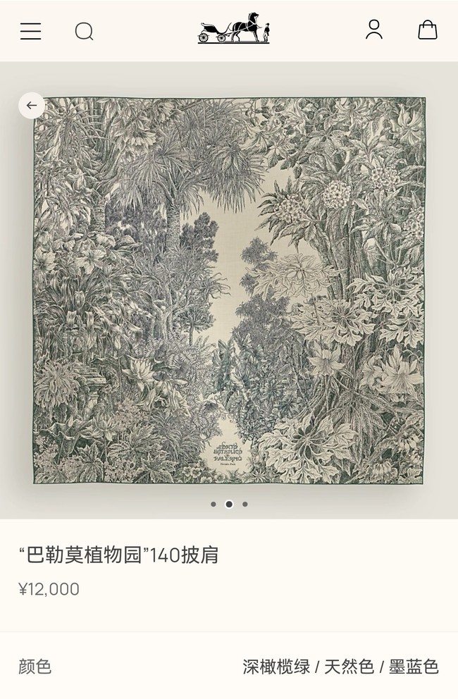 Hermes Shawl Cashmere and Silk Jacquard KY085