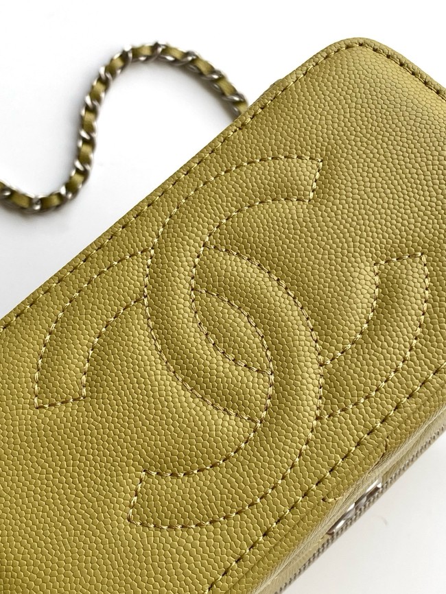 Chanel Long Vanity with chain AP4933 green