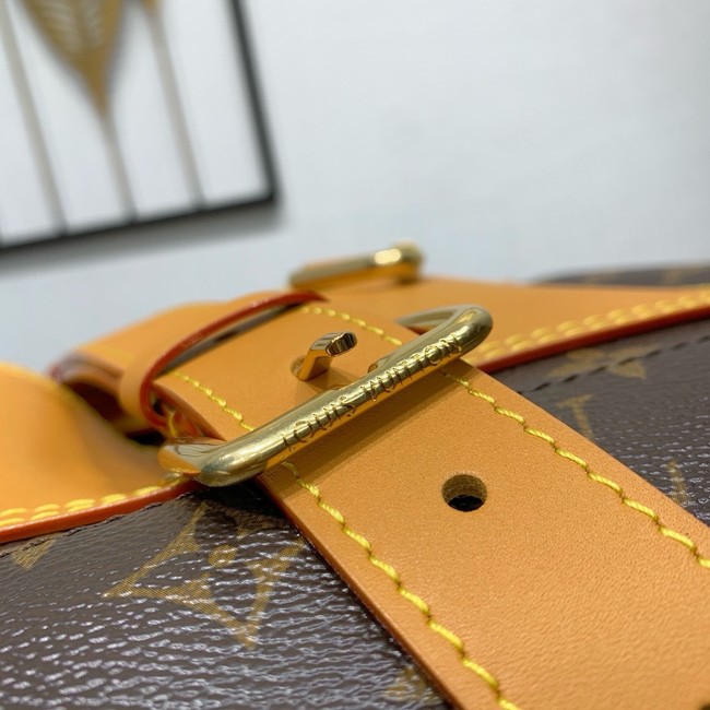 Louis Vuitton Backpack M25989 brown