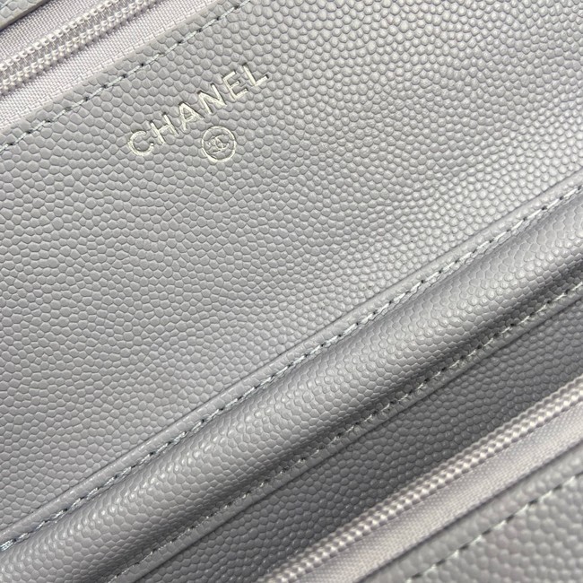 Chanel Wallet On Chain AP3723 light Purple