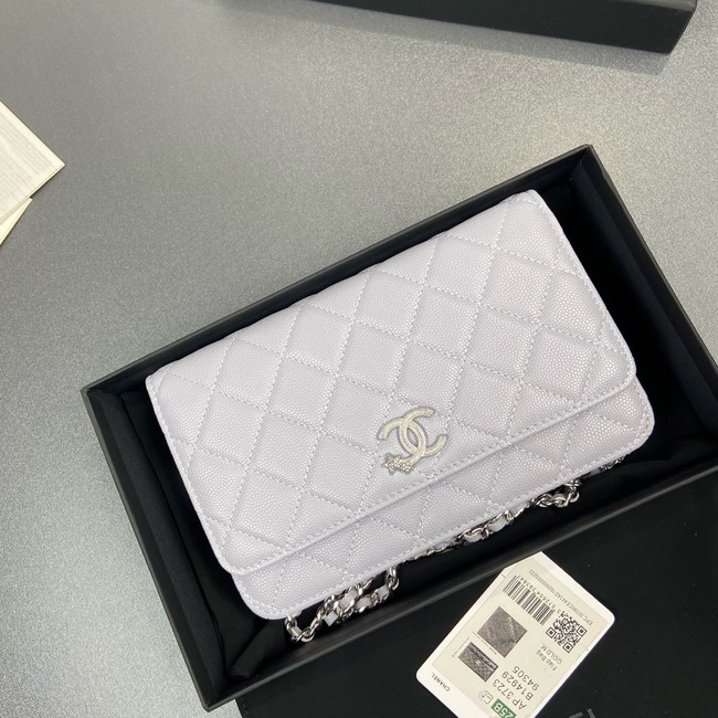 Chanel Wallet On Chain AP3723 light Purple