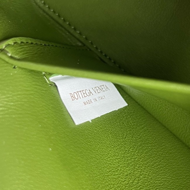 Bottega Veneta Vanity Case On Strap 789109 Green grass