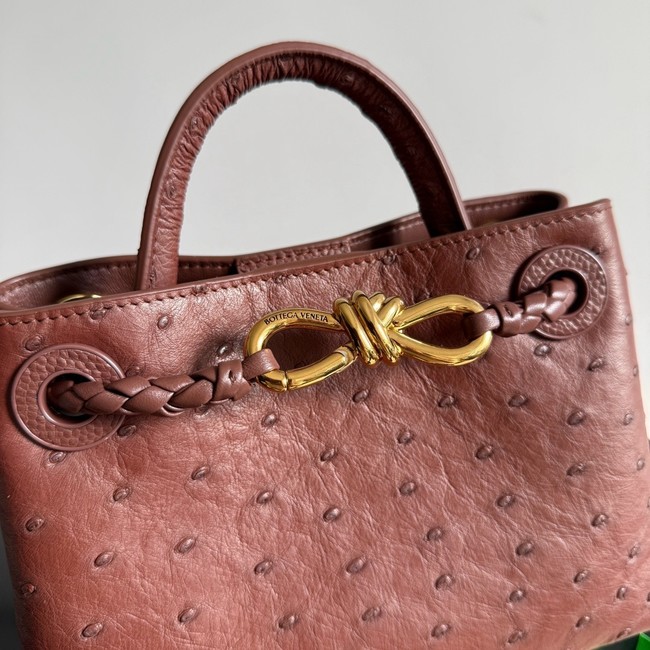 Bottega Veneta Mini Andiamo Sapele 805232 Sapele