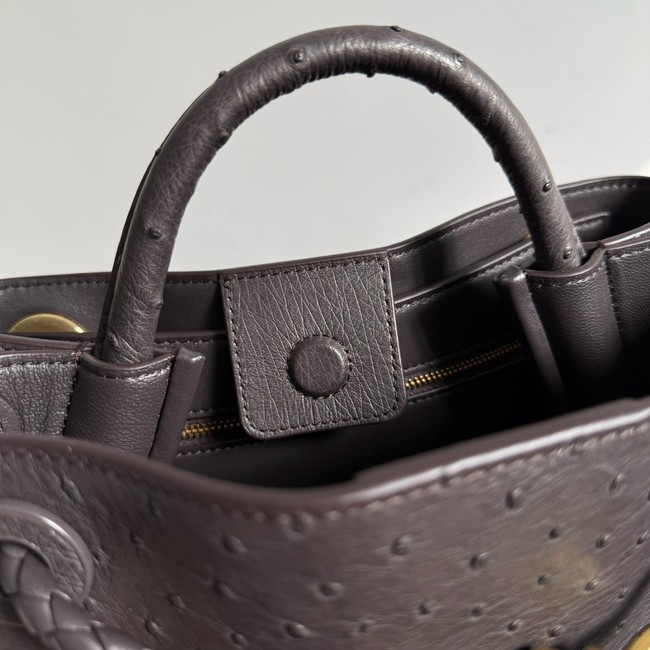 Bottega Veneta Small Andiamo 805231 Fondant