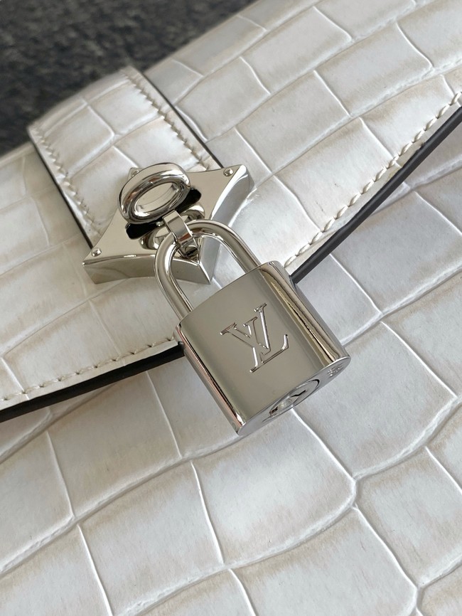 Louis Vuitton Calfskin M84714 light gray