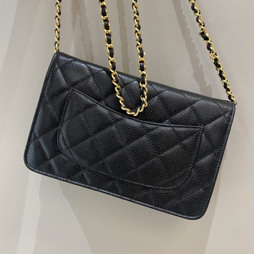 Replica CHANEL Woc Wallet on Chain 7 Replica CHANEL Woc Wallet on Chain - high-quality designer bag clone
