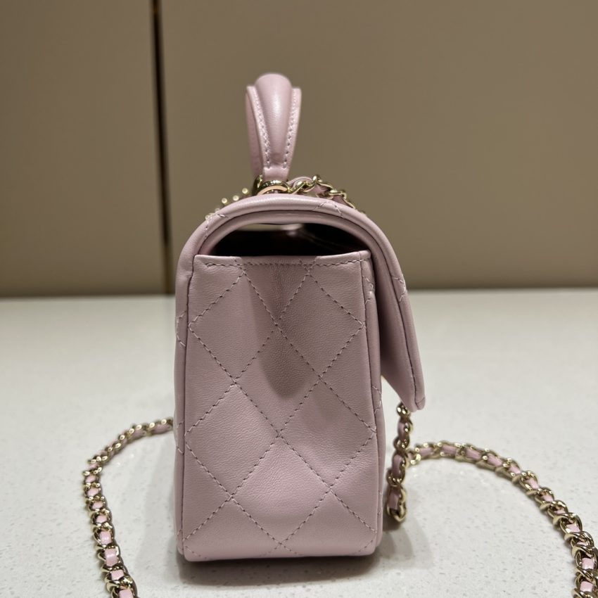 Replica CHANEL CF 20 cm Lion Pink 2 Replica CHANEL CF 20 cm Lion Pink - authentic-look luxury purse replica